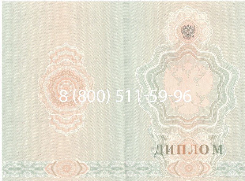 Купить Диплом училища 2007-2009 годов в Нефтекамске Купить Диплом училища 2007-2009 годов в Нефтекамске